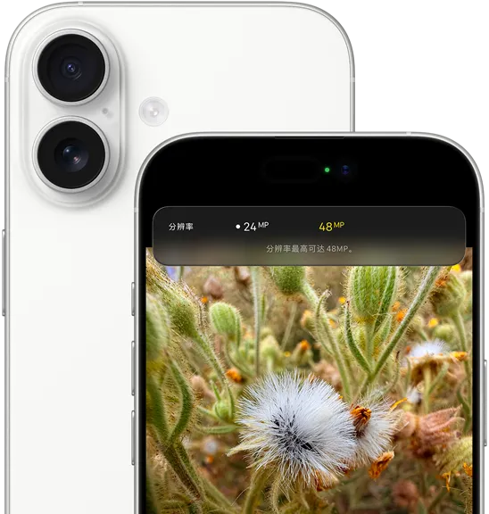 两部白色 iPhone 17 局部重叠，展示前置摄像头和后置融合式双摄，屏幕画面为使用长焦功能拍摄的蒲公英超高分辨率特写。